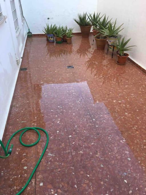 Casa Soleada En Calle Tranquila Seville Ngoại thất bức ảnh