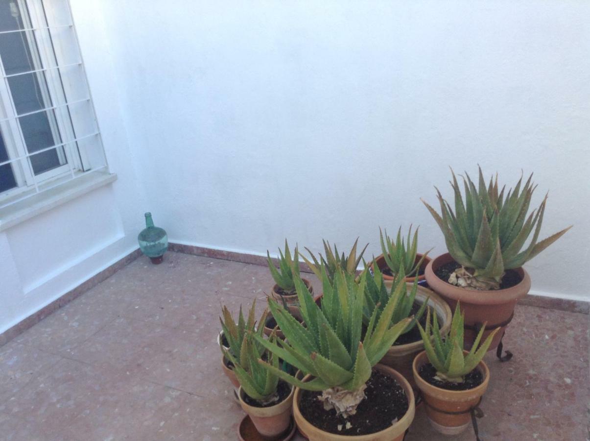 Casa Soleada En Calle Tranquila Seville Ngoại thất bức ảnh